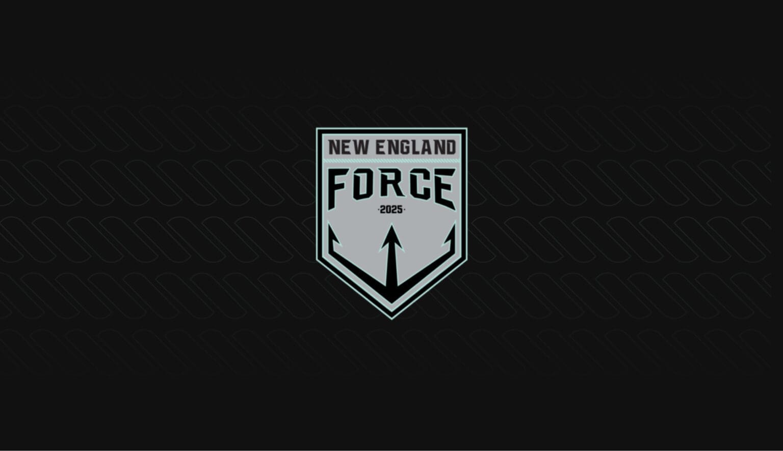 new-england-force-card